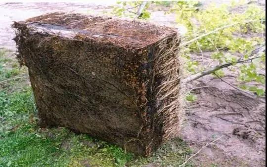 1617693916615186.jpg 微信图片_20210406152308.jpg