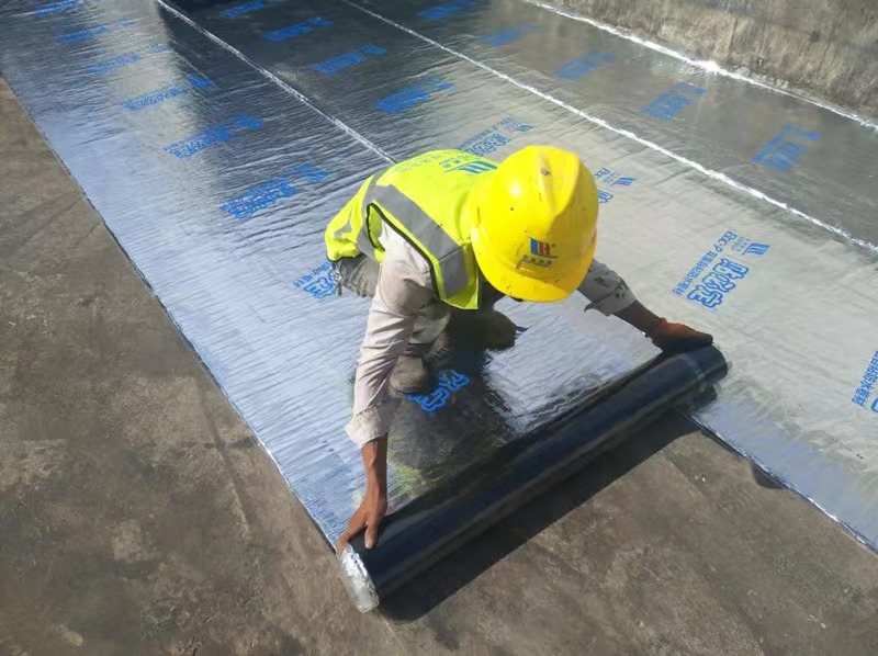 1646101111670228.jpeg WechatIMG1074.jpeg