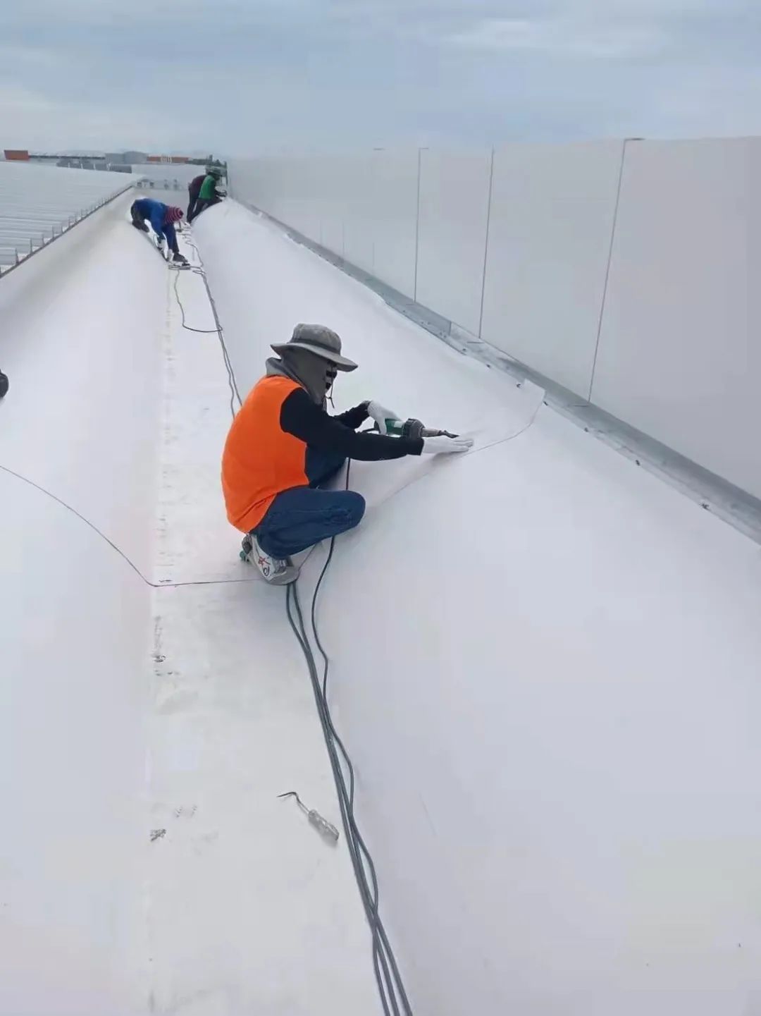 1684725592640779.jpg 华哥1.jpg