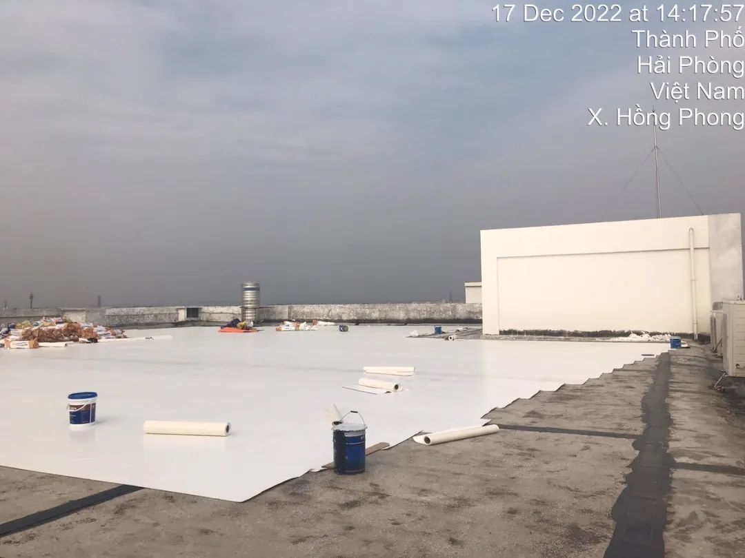 1684726110411864.jpg 恩豪2.jpg